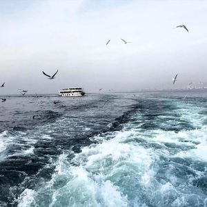 日本兽兽系列人与狗性交
